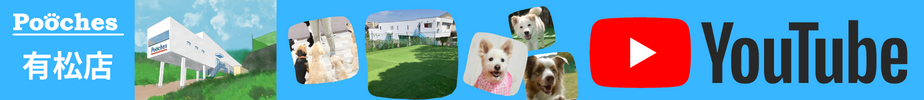 Poochesの合同レッスンとイベントブログ