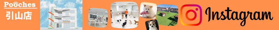 Poochesの合同レッスンとイベントブログ