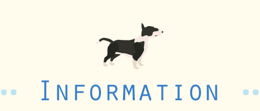 プーチーズ合同レッスン予定